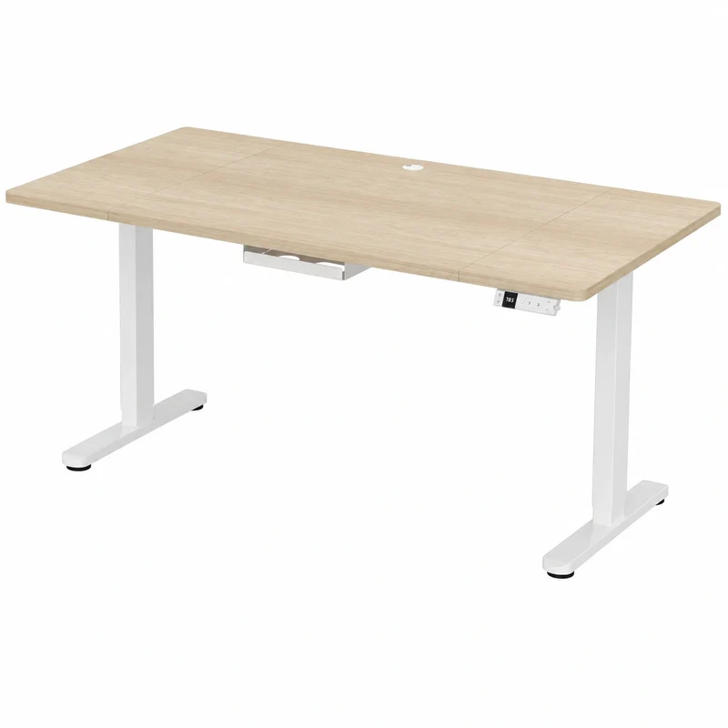 Elektrisch höhenverstellbarer Schreibtisch 200x100cm mit USB-C Ladeanschluss und Kabelmanagement, Eichendekor