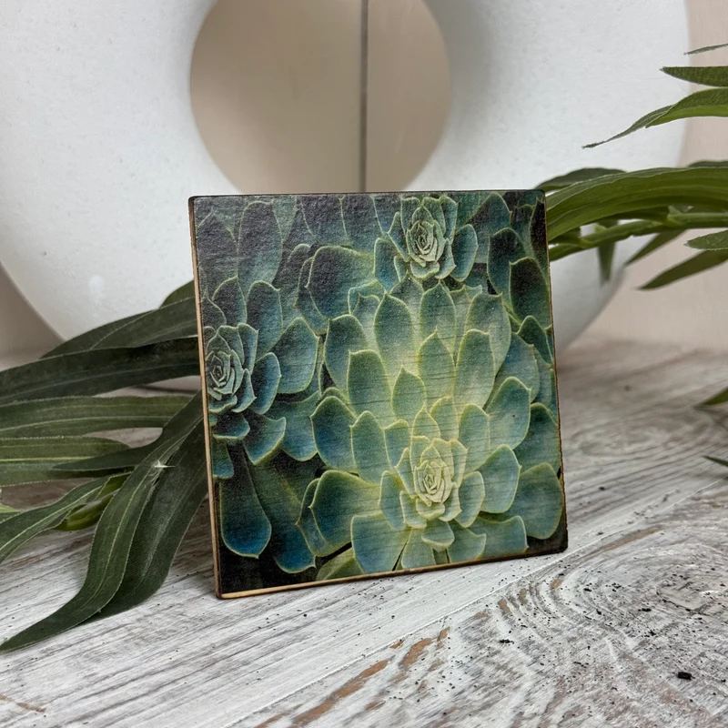 Untersetzer Sukkulente Echeveria Holz Quadratisch 10x10 Deko Küchenbedarf