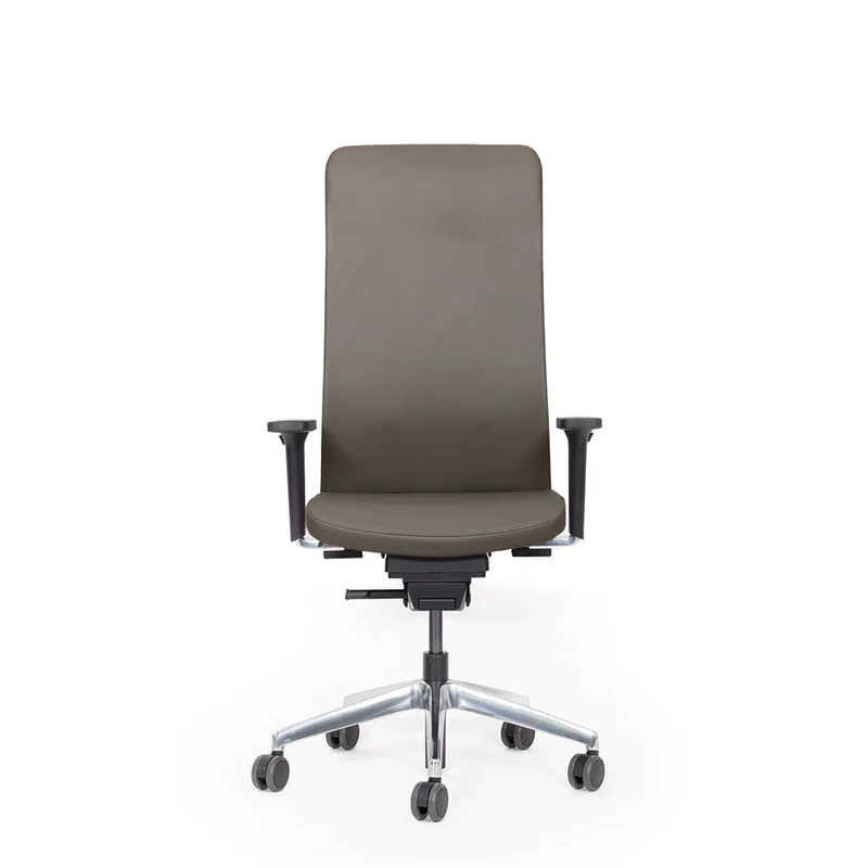 Ergonomischer Bürostuhl | Bezug Echtleder | lento Agilis Matrix MT13