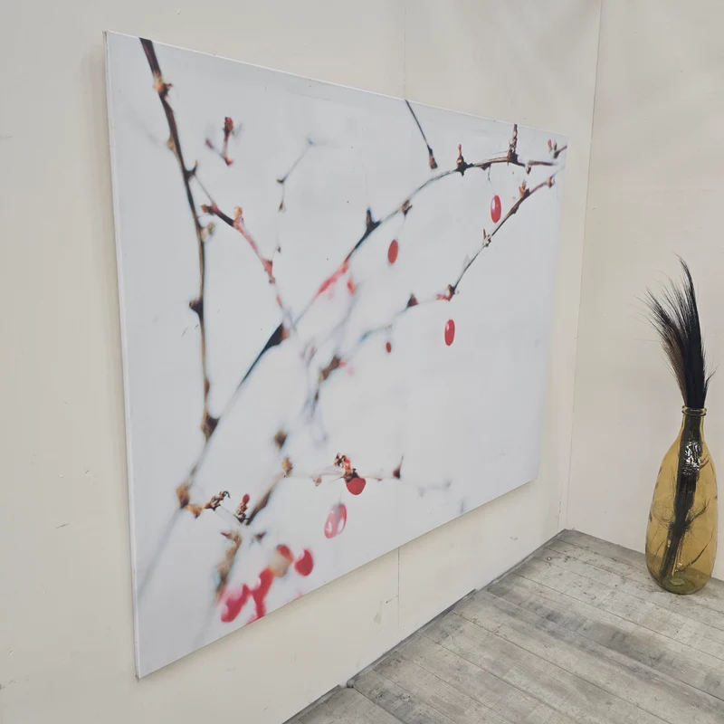 Großes Leinwandbild Wandbild Natur Zweige Beeren Rot Gebraucht