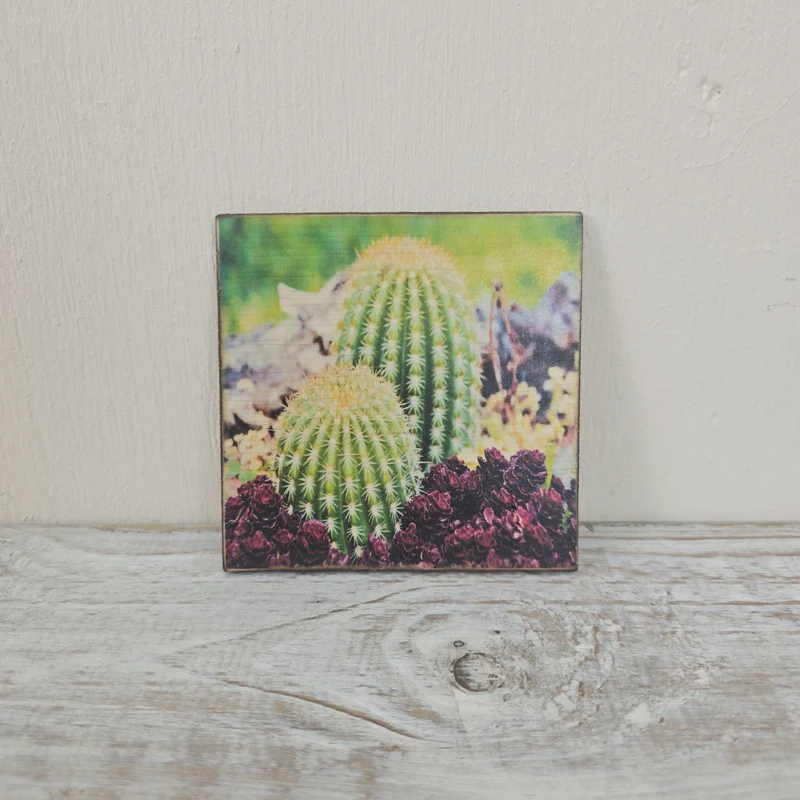 Untersetzer 10x10cm Grün Mehrfarbig Holz Kaktus-Motiv Deko