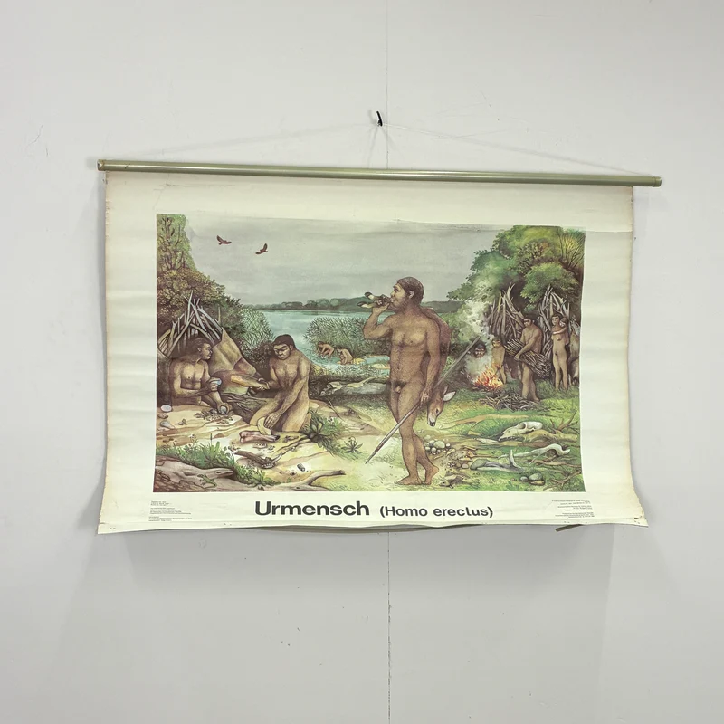 Vintage Schulwandkarte „Urmensch (Homo erectus)“ – Lehrtafel Rollbild Wanddeko