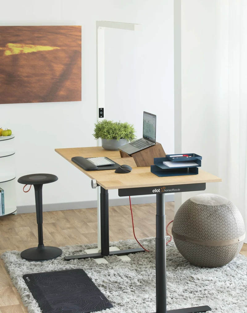 Eliot x homeoffice.de Collection - Schreibtisch (Coming soon)