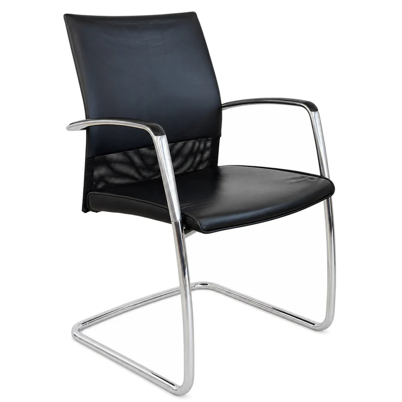 Walter Knoll Art Collection Leder schwarz