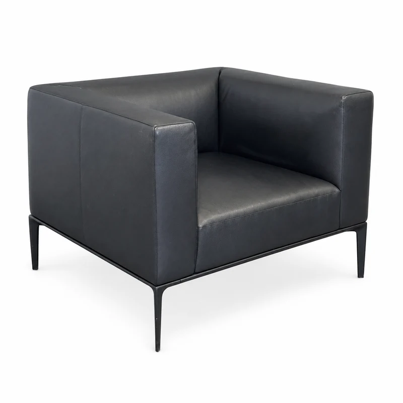 Walter Knoll Jaan Sessel Leder schwarz