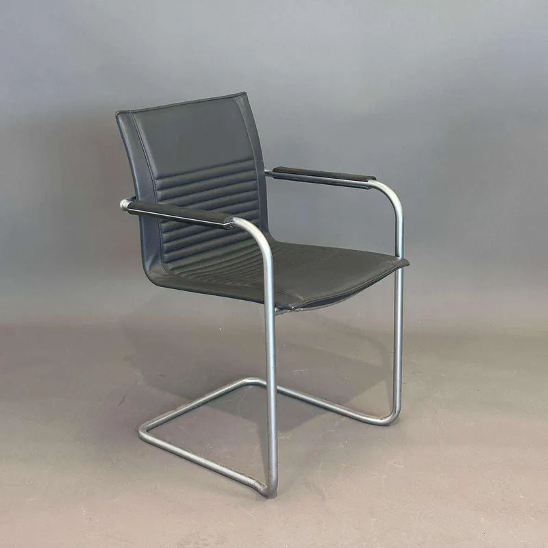 Walter Knoll Art Collection Freischwinger Leder grau