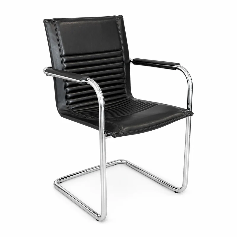 Walter Knoll Art Collection Freischwinger Leder schwarz