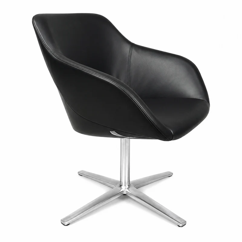 Walter Knoll Turtle Chair Leder schwarz