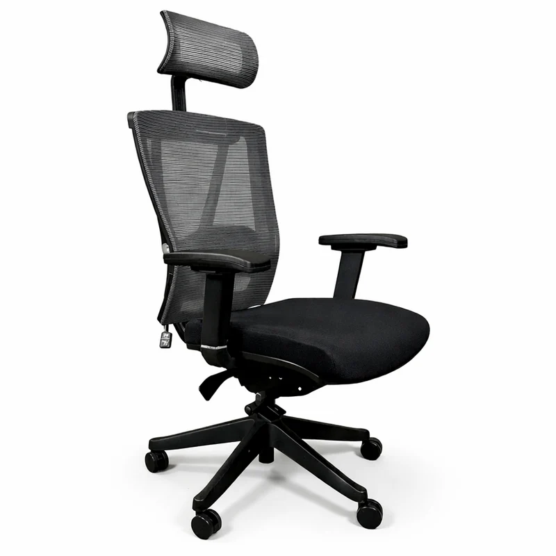 FLEX Ergo1 schwarz