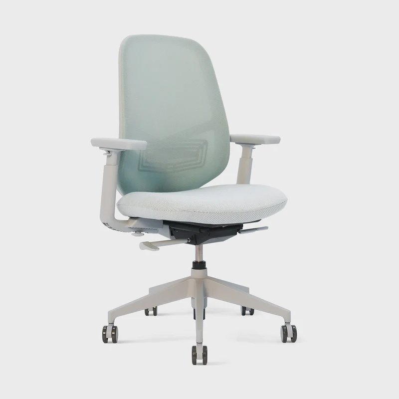 Aloha Pro Ergonomic Office Chair