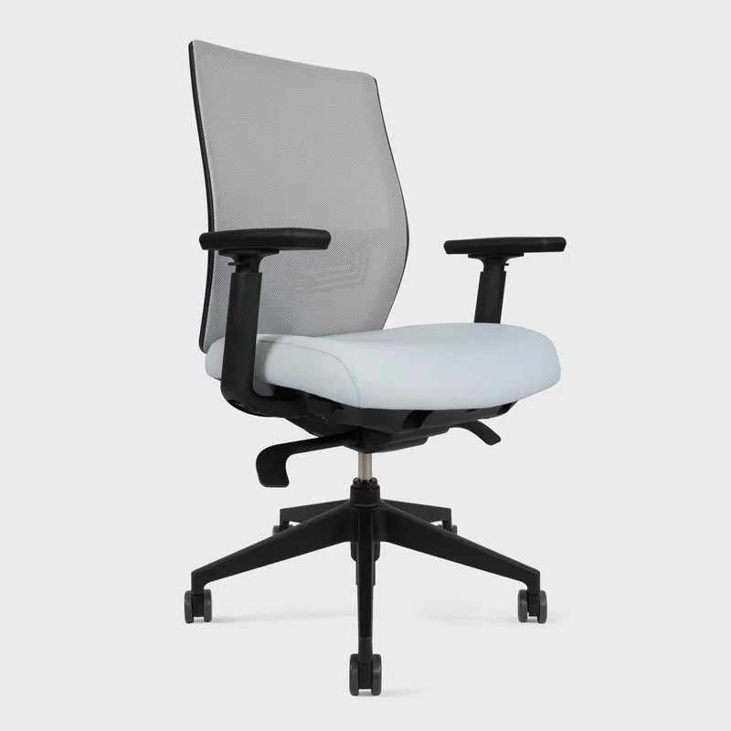 Aloha Ergonomic Office Chair
