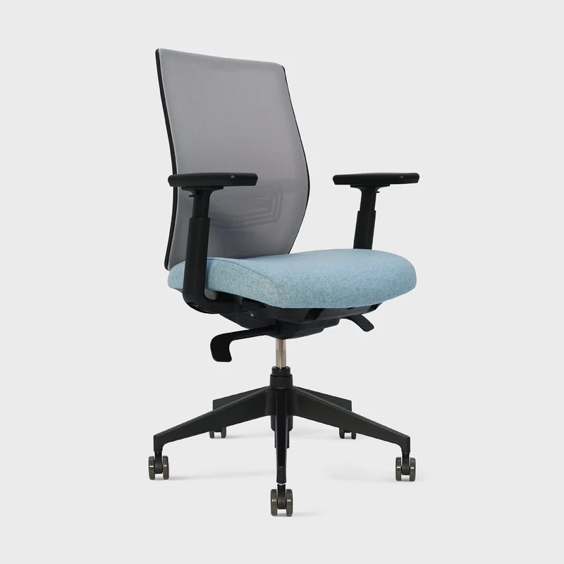 Aloha Ergonomic Office Chair