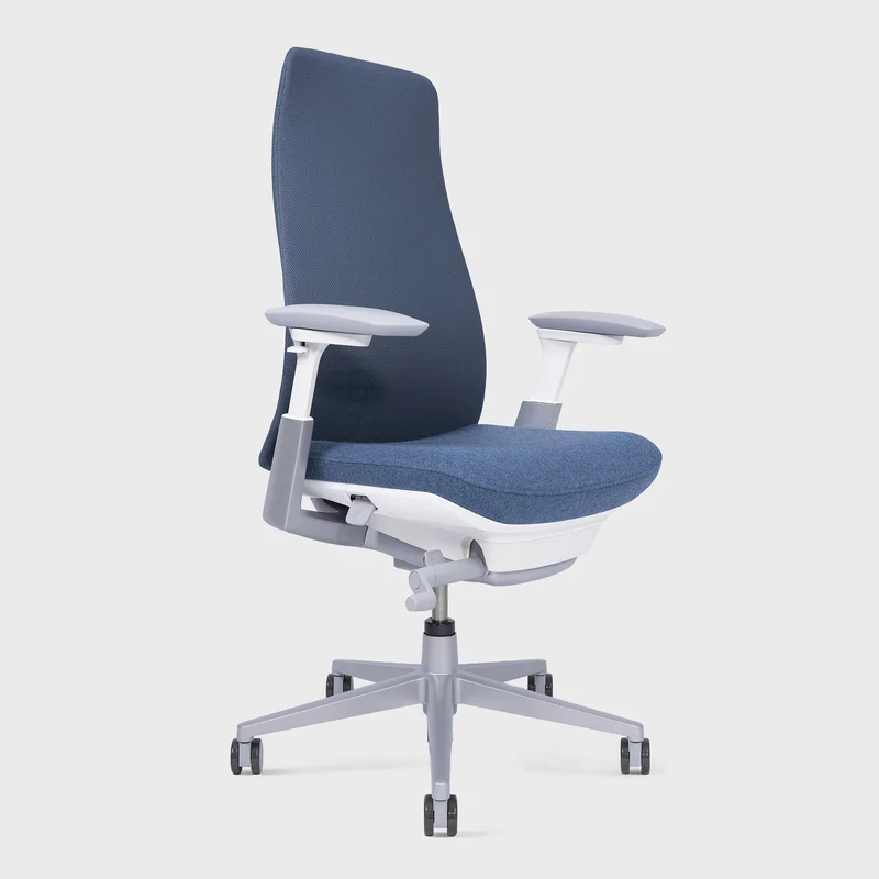 Fern Ergonomic Office Chair