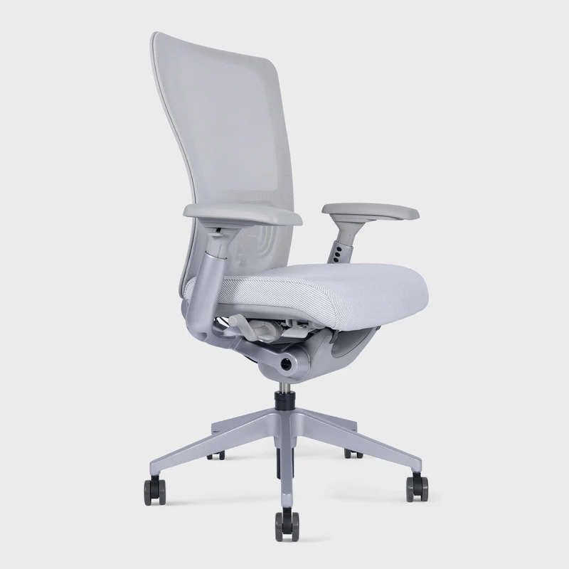 Zody Ergonomic Office Chair