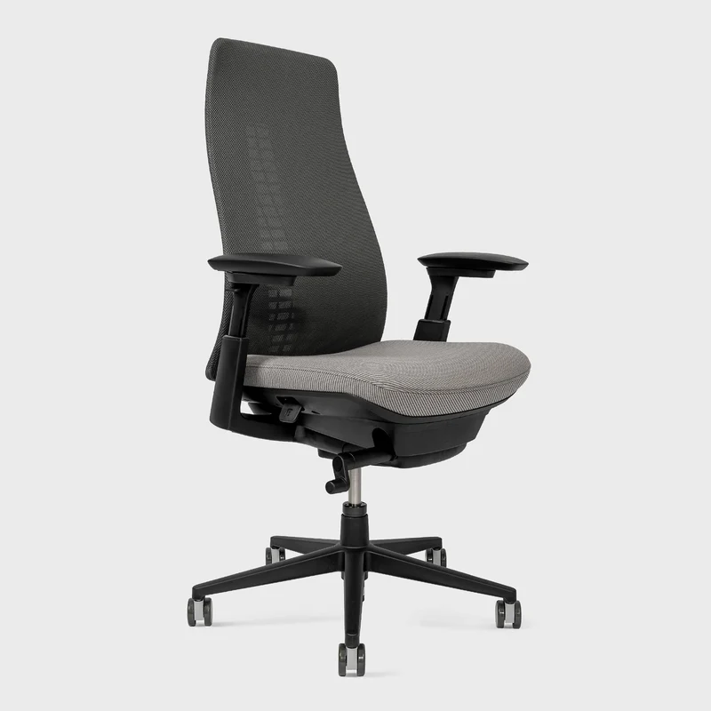 Fern Ergonomic Office Chair