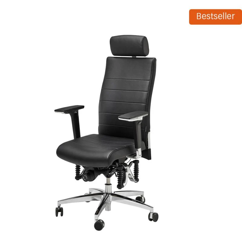 Bioswing 660 IQ Bestseller/Dick-Leder