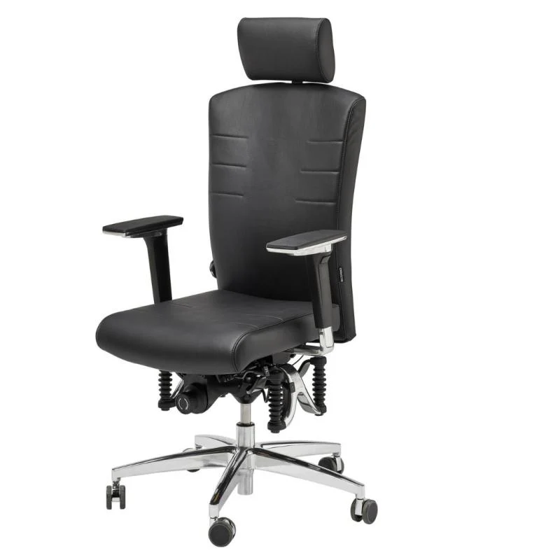 Bioswing 560 IQ Bestseller/Dick-Leder