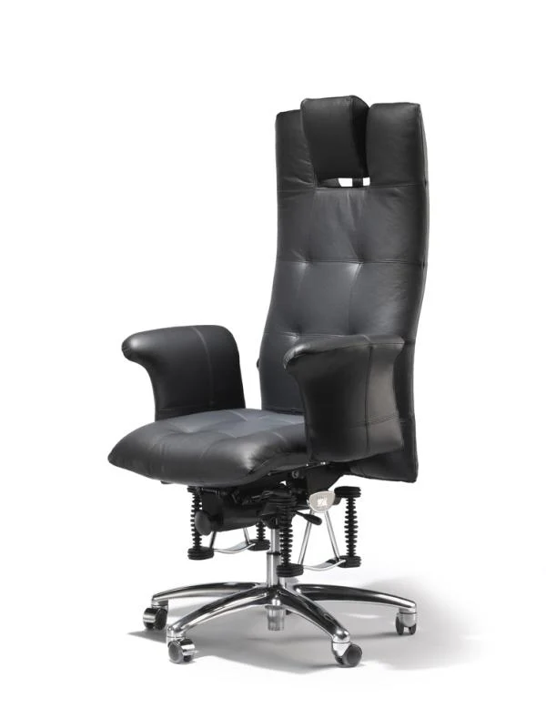 Bioswing 780 Bestseller/Dick-Leder