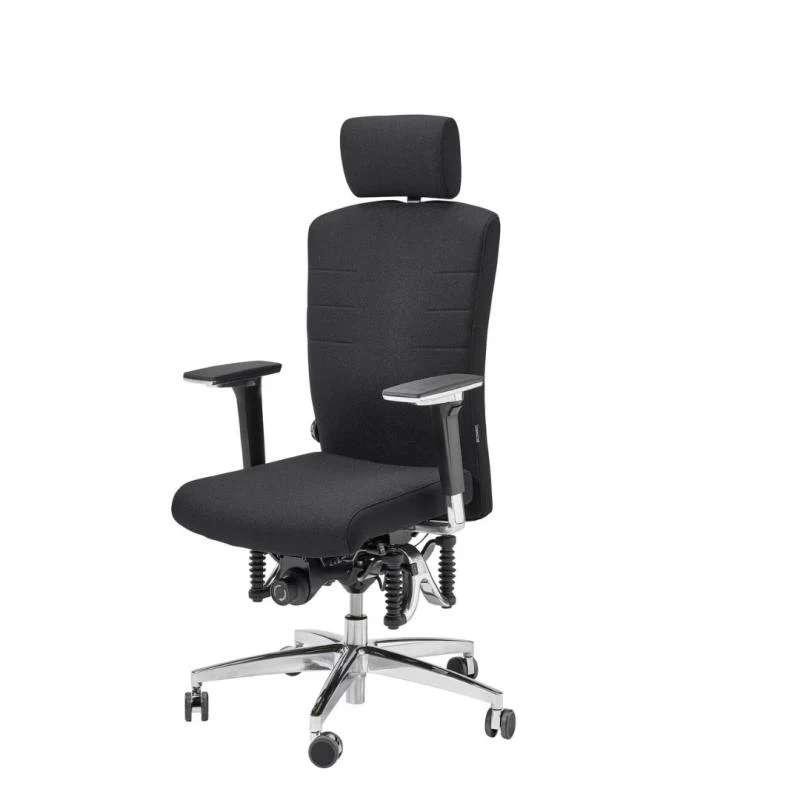 Bioswing 560 IQ-Bestseller / / Hausstuhl