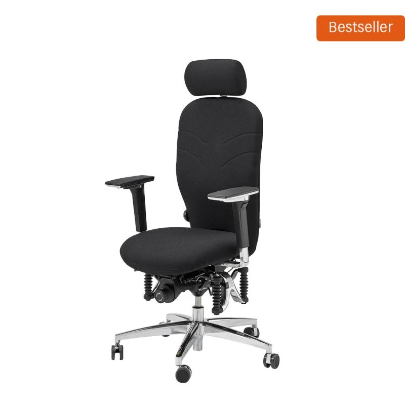 Bioswing 460 IQ Bestseller / / Hausstuhl