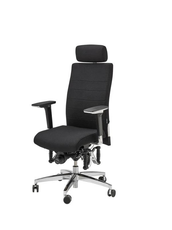 Bioswing 660 IQ Bestseller Stoff //Hausstuhl