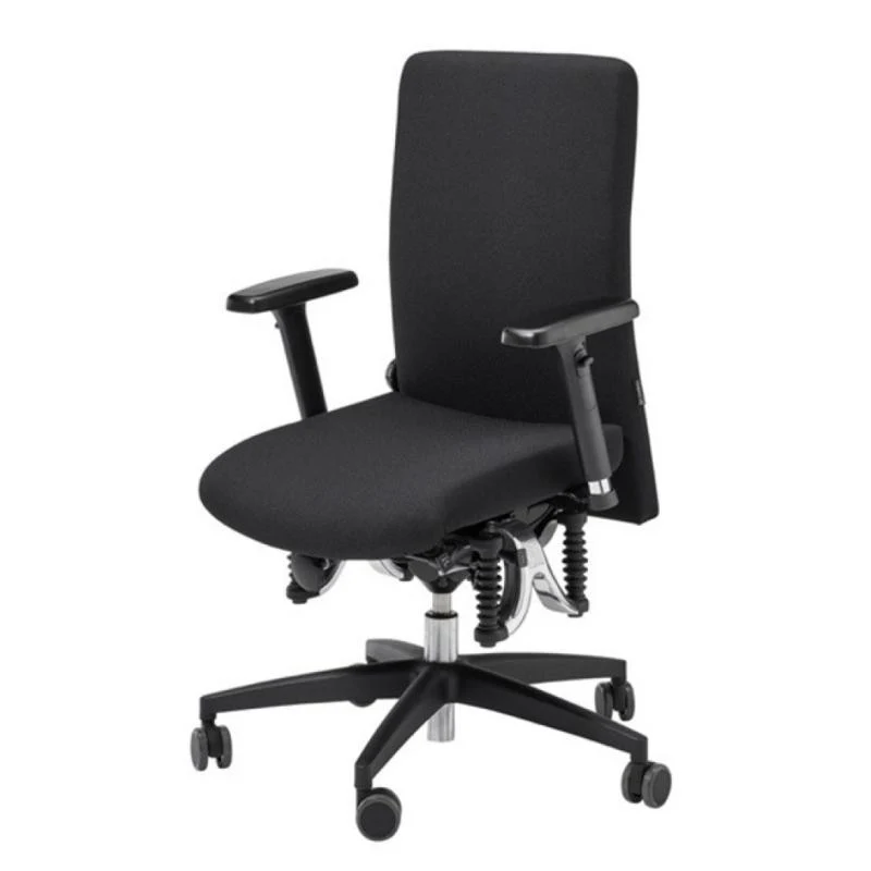 Bürostuhl Haider Bioswing 360 IQ Bestseller // Hausstuhl