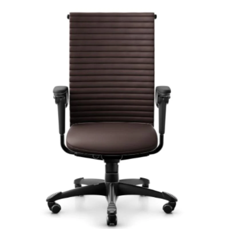 HAG H09 Excellence Mittlere Rückenlehne