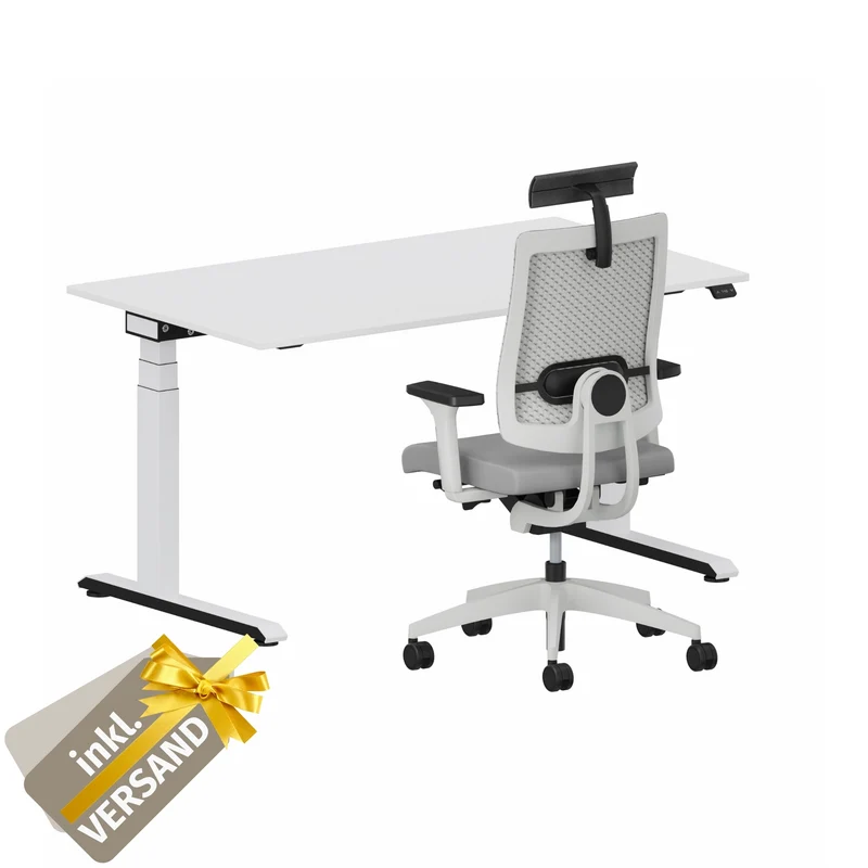 Sedus Home-Office Set 3 - Das professionell ergonomische Set