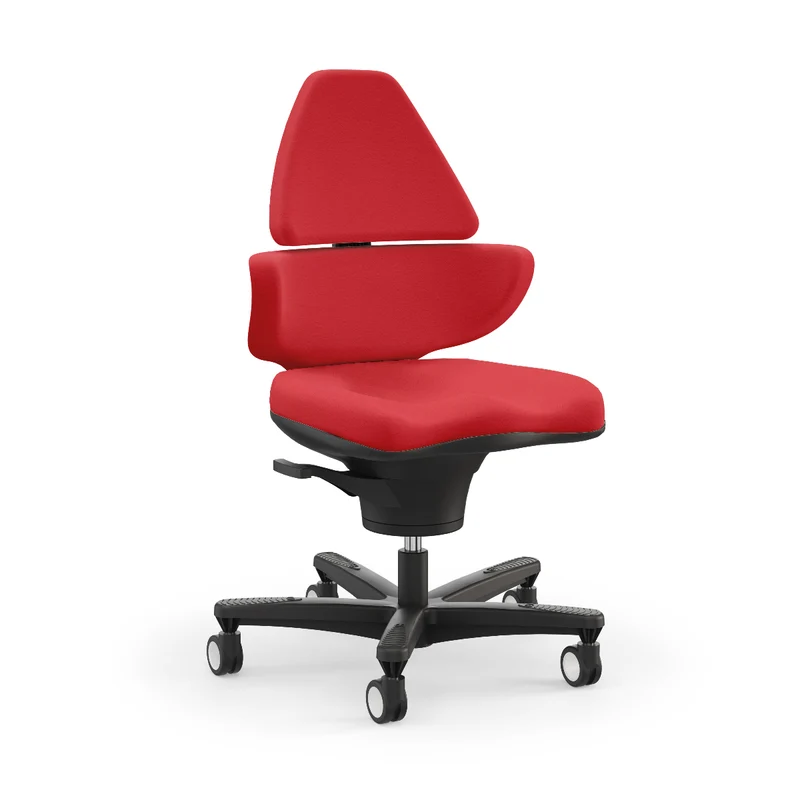 Core Chair Elite von Viasit