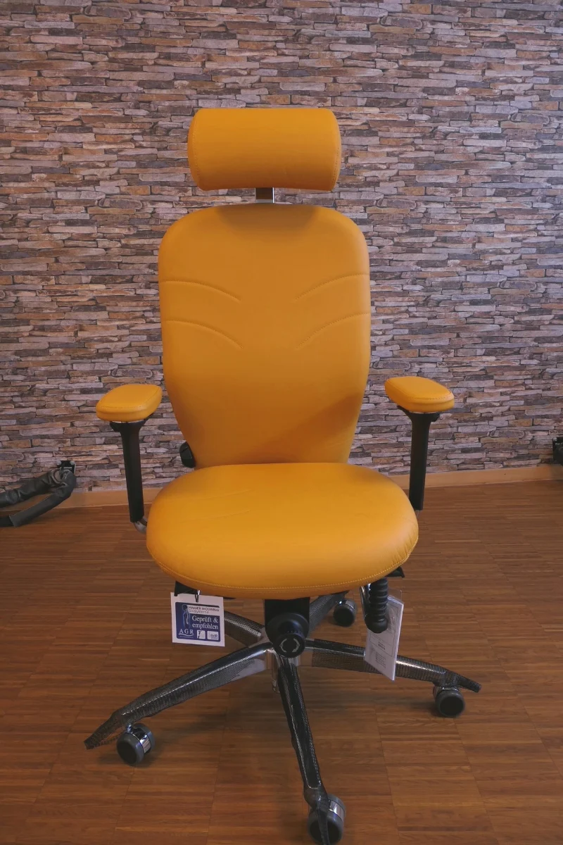 Haider Bioswing 460 iQ - LEDER Curcuma - Einzelstück