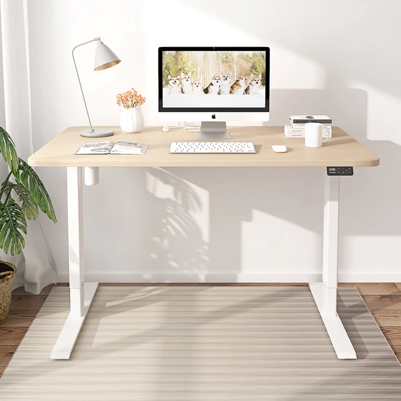 Maidesite S1 Basic - Elektrisch Höhenverstellbarer Schreibtisch 120x60 cm