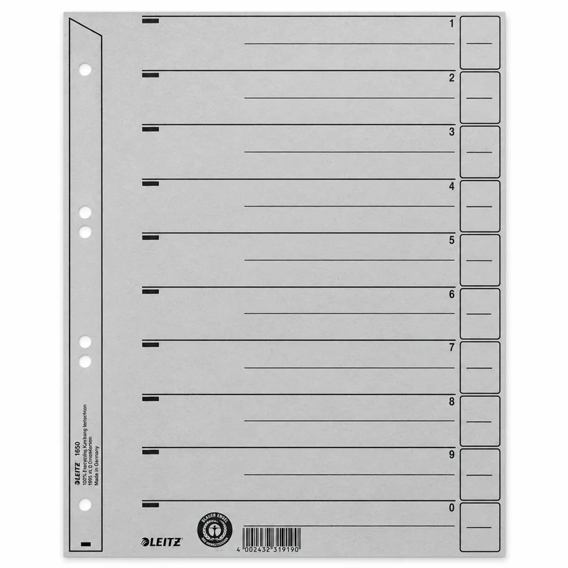 Leitz Trennblatt Kraftkarton Grau 200g 10 Blanktaben 1-0 100 Blatt