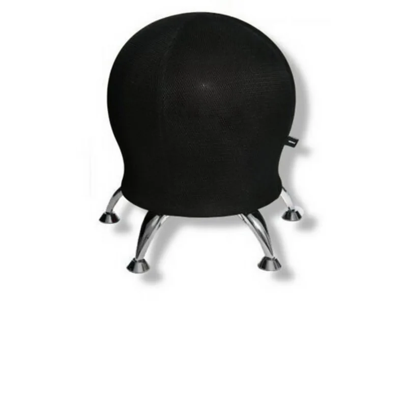 SITNESS 5 - Sitzball