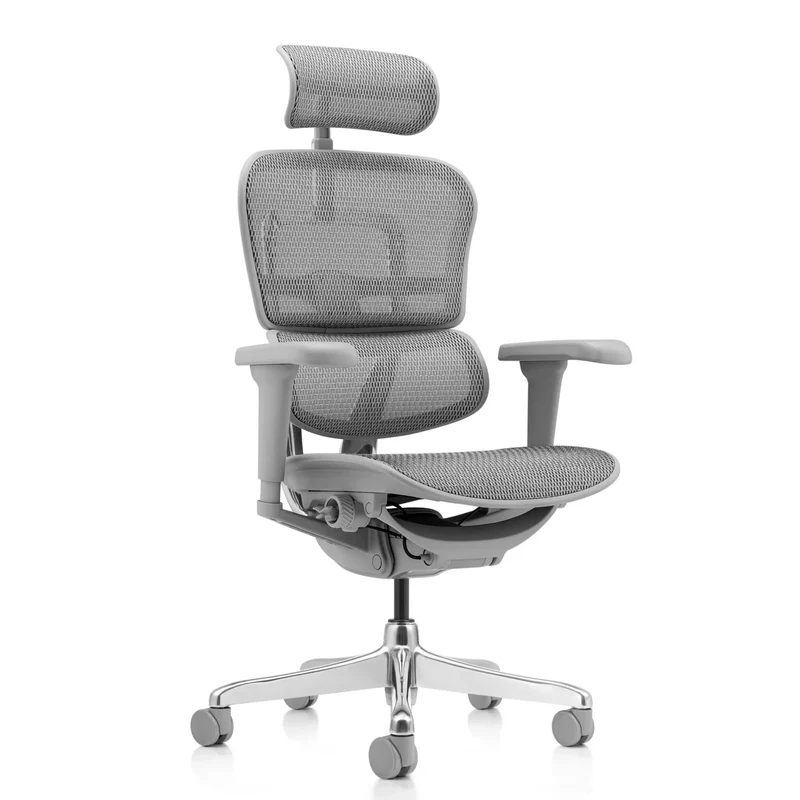 ERGOHUMAN ULTRA G GEN2 | Netz - Luxus Chefsessel