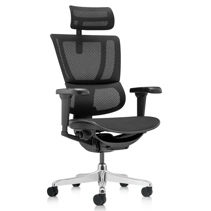ERGOHUMAN SLIM ULTRA GEN2 | Netz - Luxus Chefsessel